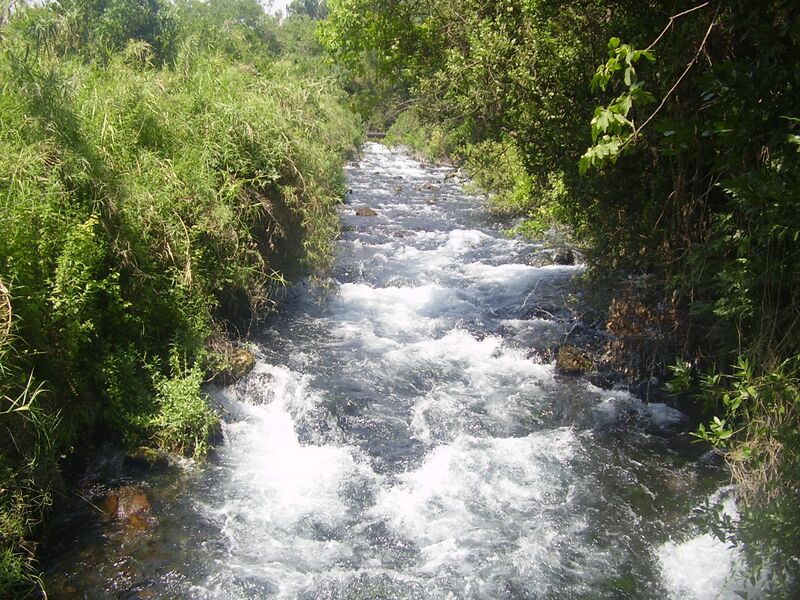 Файл:DanRiver.JPG