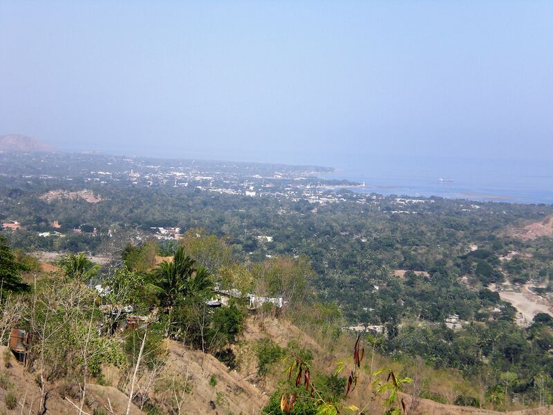 Файл:Dili1-2009.JPG