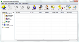Скриншот программы Internet Download Manager