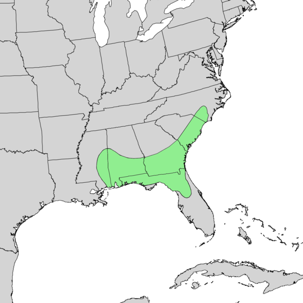 Файл:Quercus austrina distribution map.png
