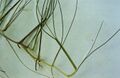 Миниатюра для версии от 01:55, 14 декабря 2023