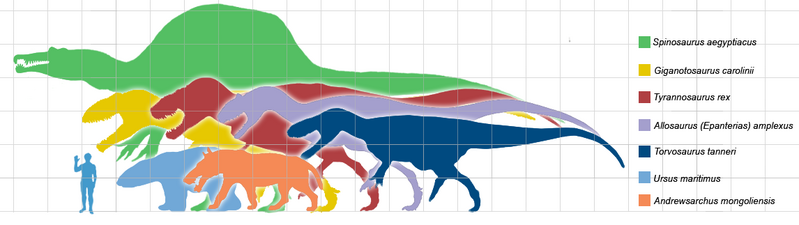 Файл:Giantpredatorsscale1.png