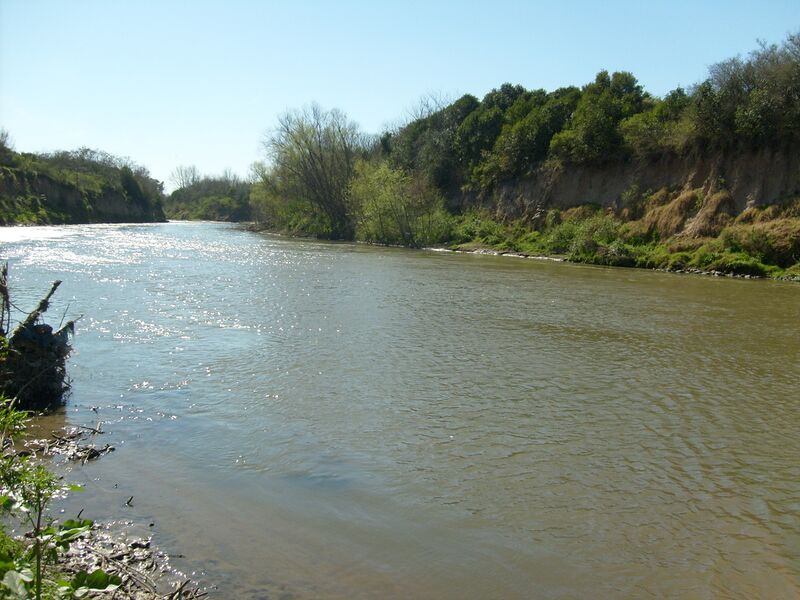 Файл:Río Carcarañá (Andino).JPG