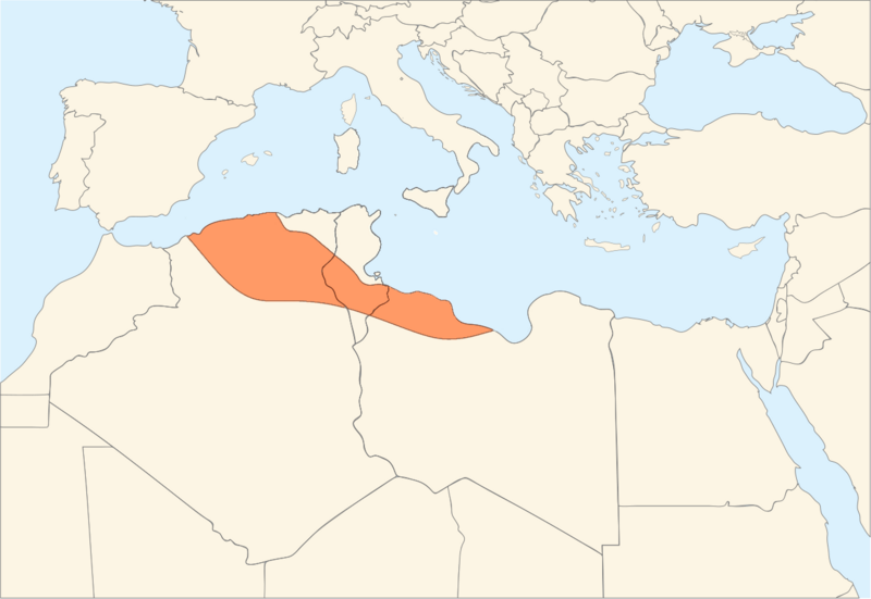 Файл:Rustamid Dynasty.png