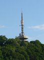 Миниатюра для версии от 04:22, 27 сентября 2023
