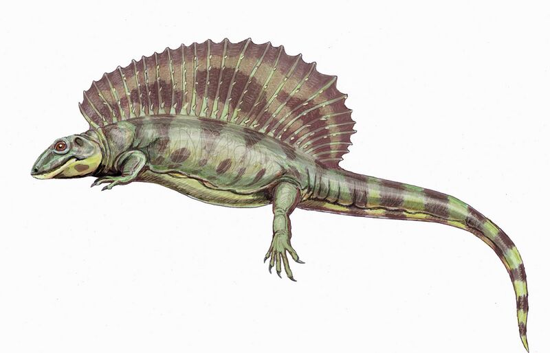 Файл:Ianthasaurus223DB.jpg