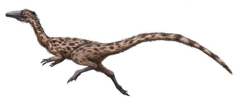 Файл:Podokesaurus restoration.jpg