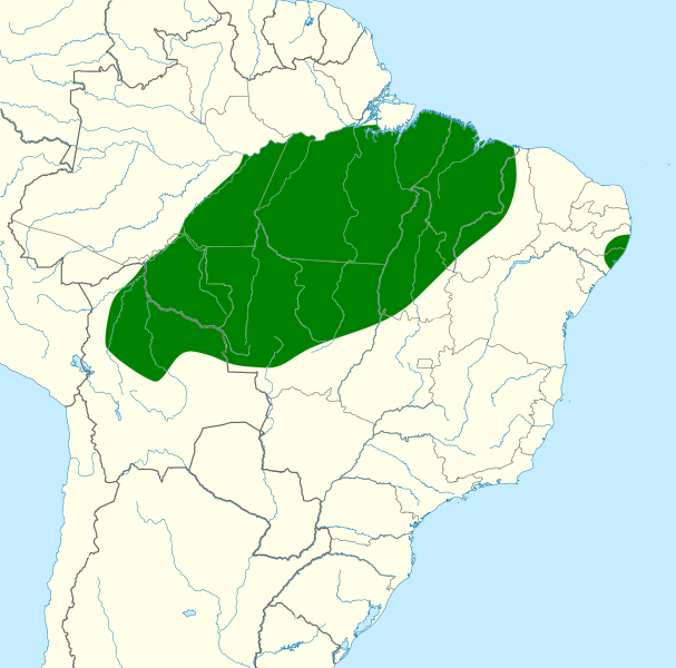 Файл:Pteroglossus inscriptus map.svg