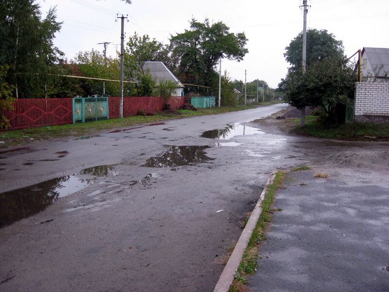 Файл:Biletskivka.jpg
