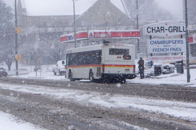 Файл:CAT BUS Snowy Day.jpeg