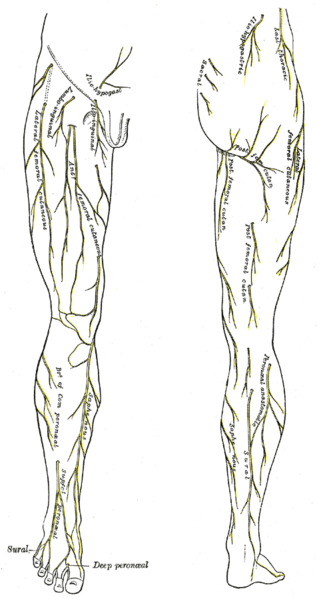 Файл:Gray825and830.PNG