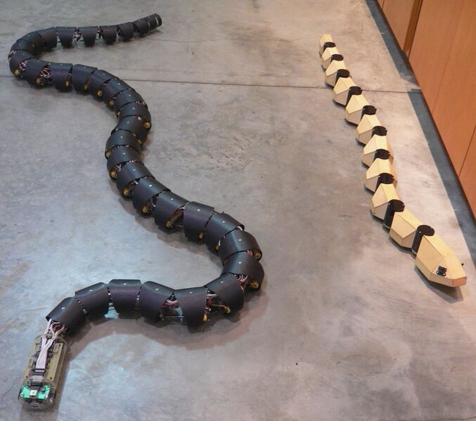 Файл:Robosnakes.jpg