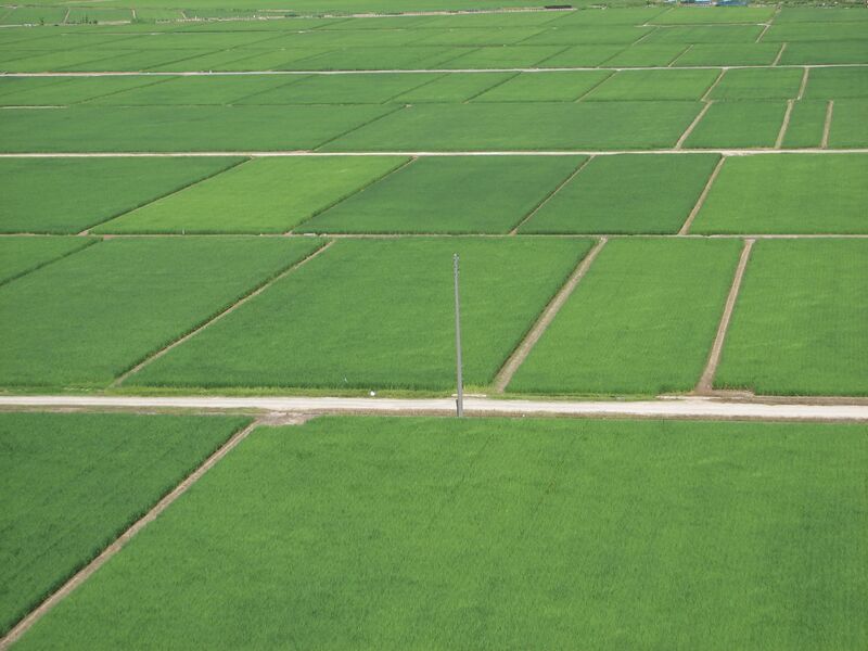 Файл:Echigo plain paddy fields.jpg