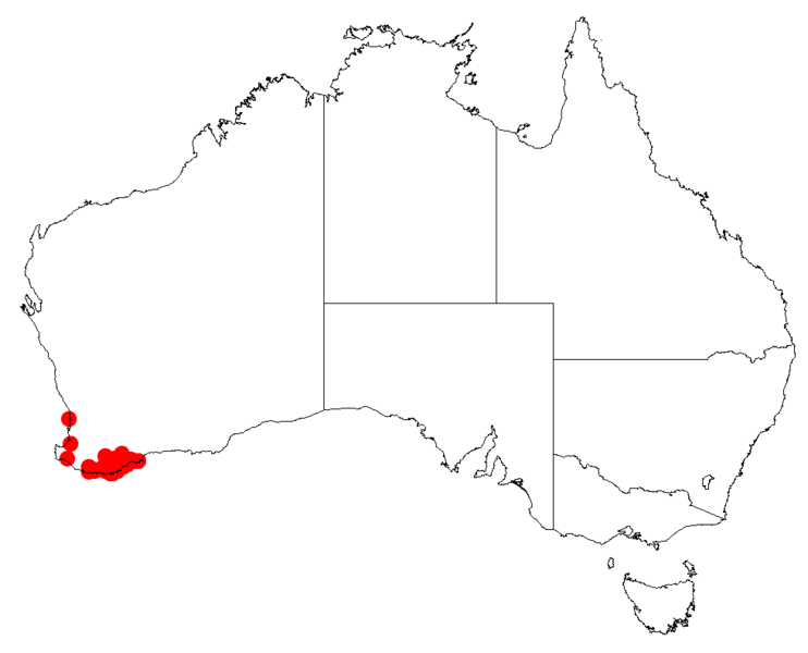 Файл:Isopogon longifoliusDistMap24.png