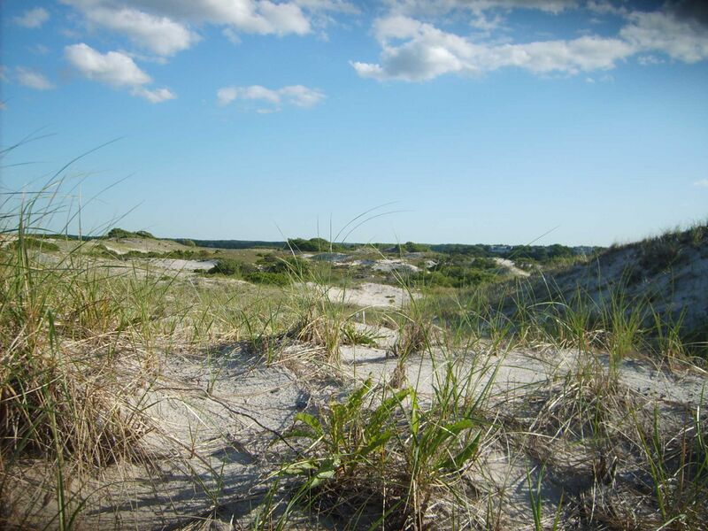 Файл:SandyNeckDunes.JPG