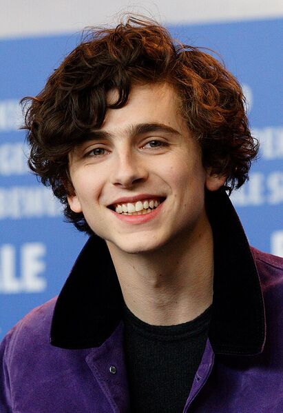 Файл:Timothée Chalamet 2017 Berlinale.jpg
