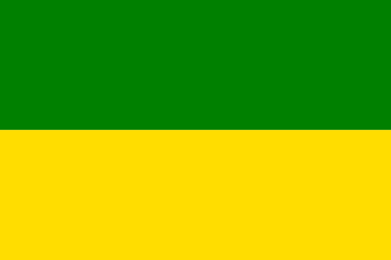 Файл:Flag of Subachoque.svg