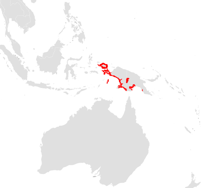Файл:Rhipidura maculipectus range.png