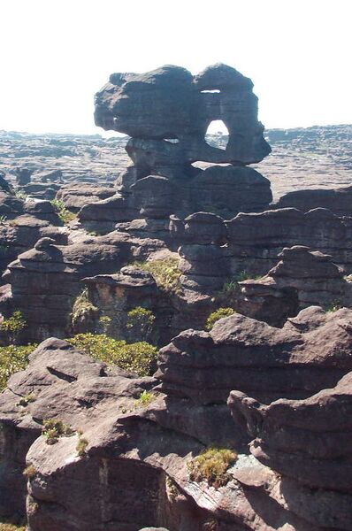 Файл:Roraima-Tepui Plateau.jpg