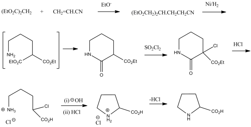 Файл:DL-Proline synth.png