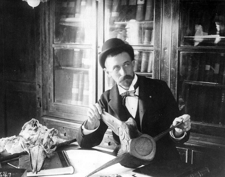 Файл:Frederick William True.jpeg