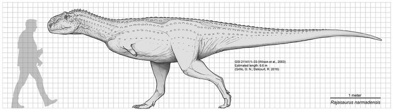 Файл:Rajasaurus scale diagram.jpg