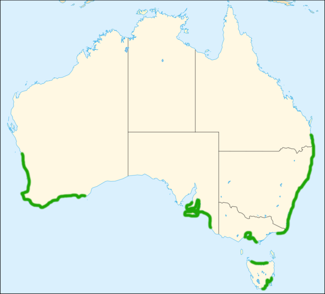 Файл:This canus distribution map.png