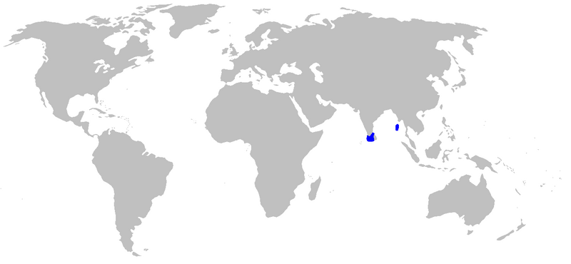 Файл:Bythaelurus hispidus distmap.png
