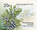 Миниатюра для версии от 10:25, 10 августа 2024