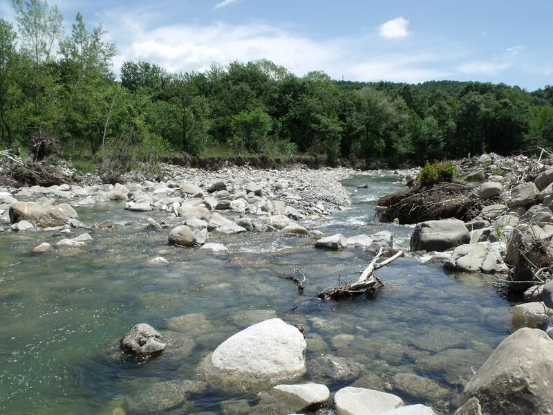 Файл:FioraRiverCellenaSelvena1.JPG