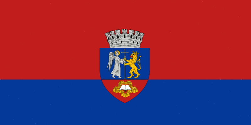 Файл:ROU BH Oradea Flag.gif