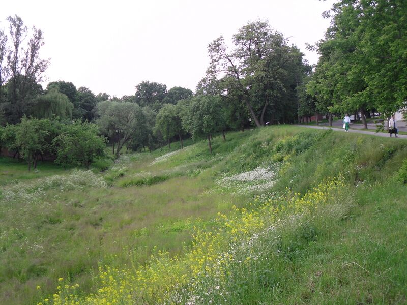 Файл:SDC10331.JPG