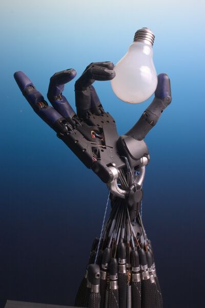 Файл:Shadow Hand Bulb large.jpg