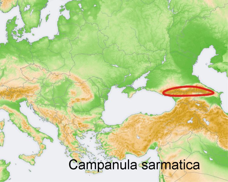 Файл:Distribution map Campanula sarmatica.png