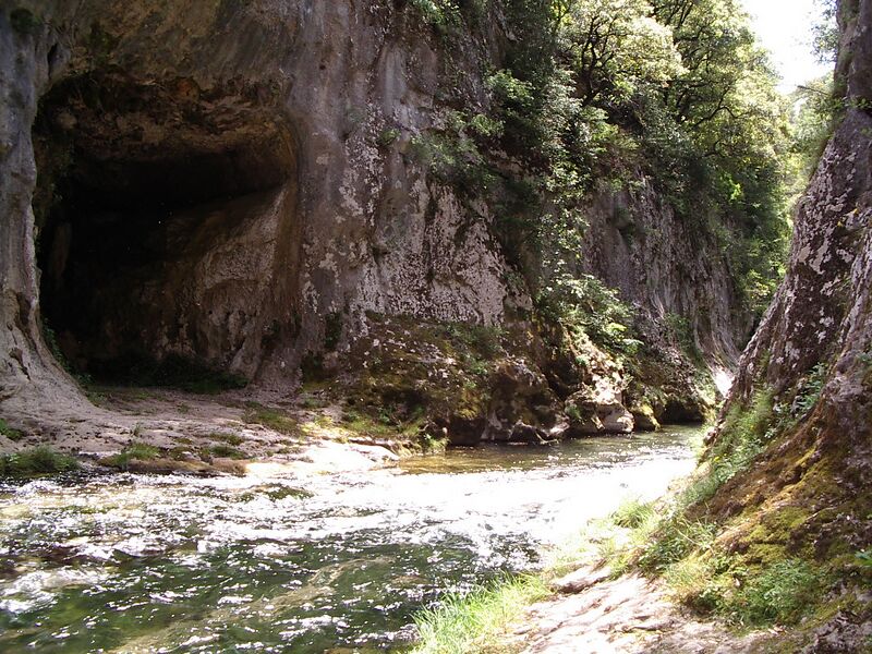 Файл:Grotte aval foux vis.jpg