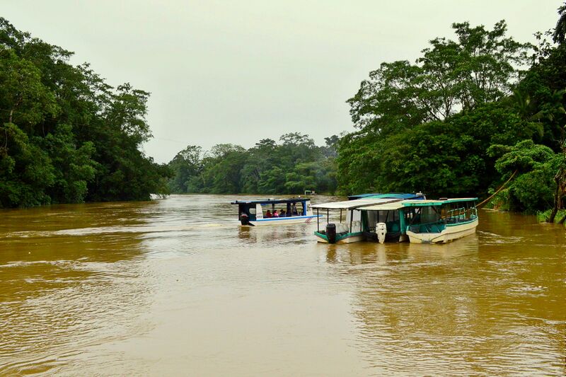 Файл:Río Sarapiquí.jpg
