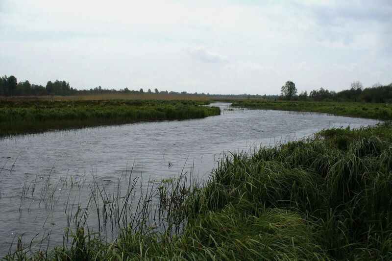 Файл:Reka-obol-01.JPG
