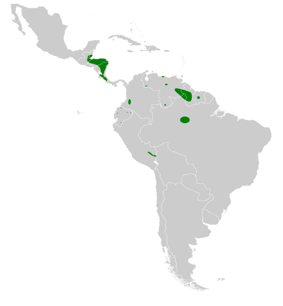 Файл:Cypseloides cryptus map.svg