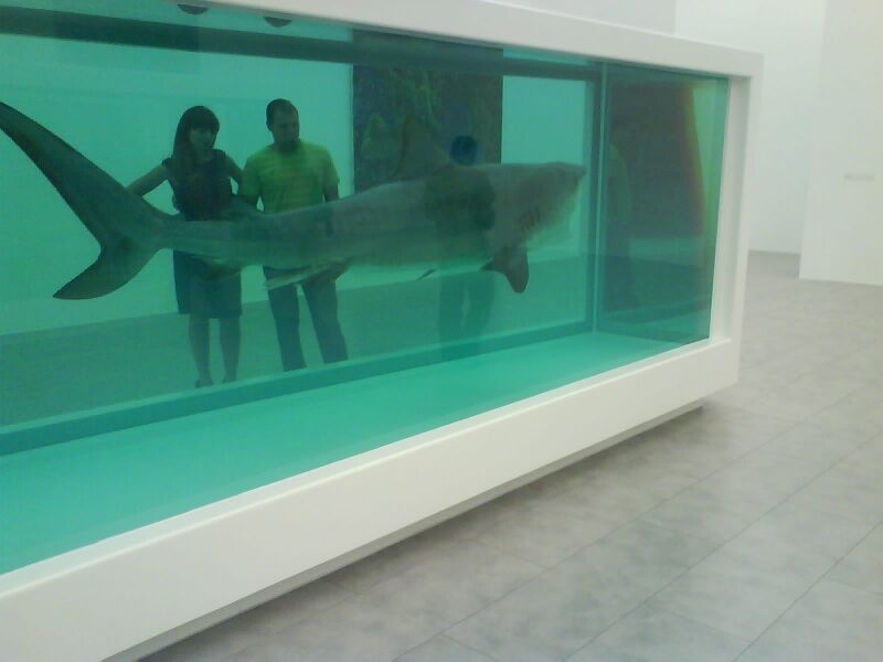 Файл:Shark83.JPG