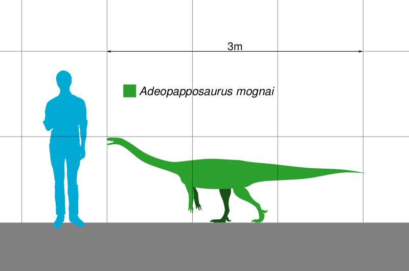 Файл:Adeopapposaurus Scale.svg