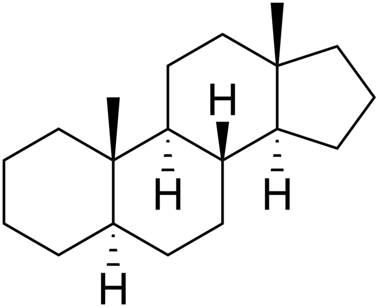 Файл:Androstane.png