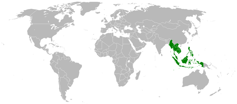 Файл:LocationSoutheastAsia.PNG