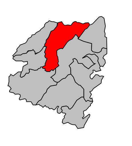 Файл:Map canton code 2A 55.svg