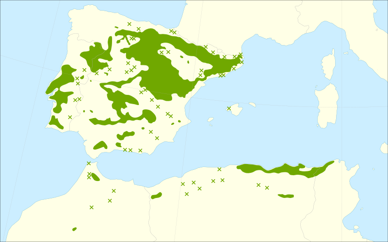 Файл:Quercus faginea range.svg