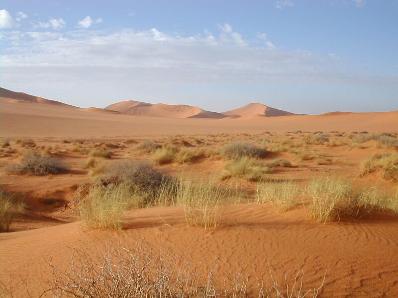 Файл:Sahara.jpg