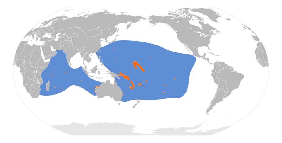 Файл:Ardenna pacifica map.svg