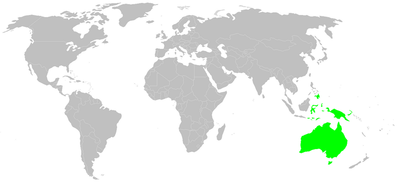 Файл:Distribution.eucalyptus.png
