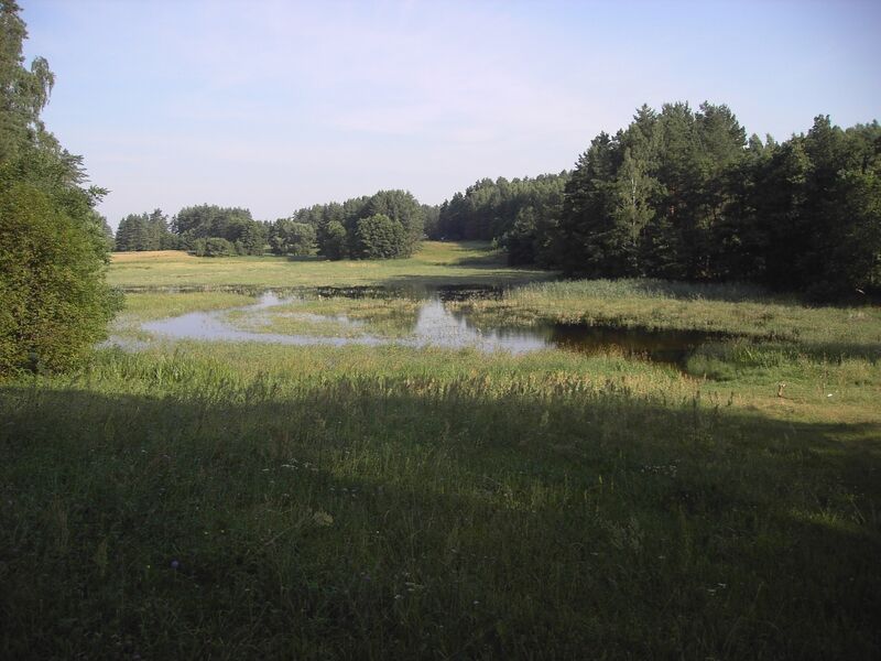 Файл:Tauragna-2011.jpg