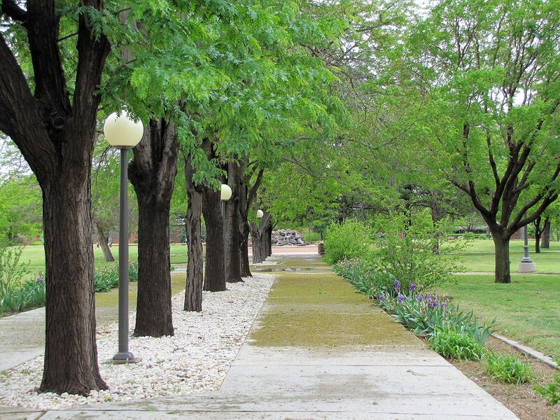 Файл:Walkway outside Golden Library, NMU.jpg