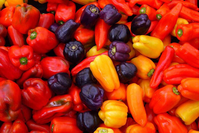 Файл:Capsicum annuum.JPG